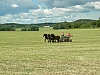 farma_Nibble1
