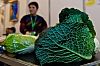 kiermasz_ekologiczny_lq_55